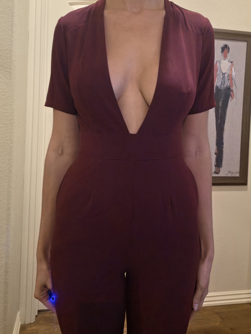 Deep V-Neck Burgundy Jumpsuit